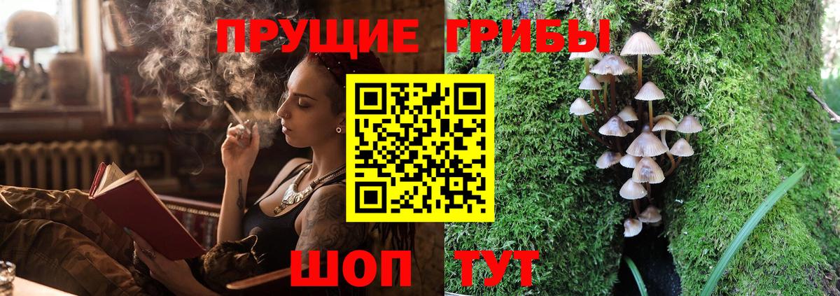 Псилоцибиновые грибы прущие грибы  Галлюциногенные грибы Cubensis  Вход с VPN  Пушкино 