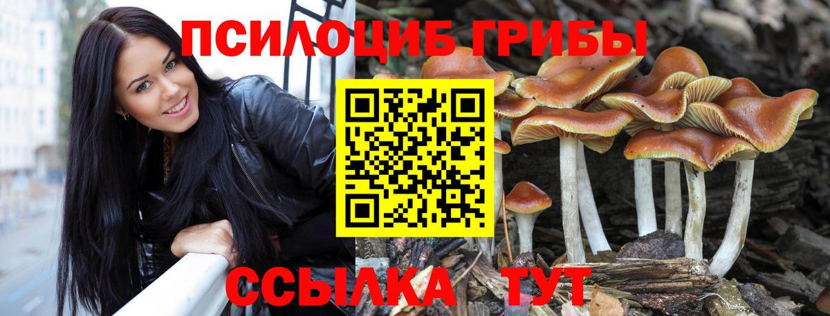 Псилоцибиновые грибы GOLDEN TEACHER  Пушкино 