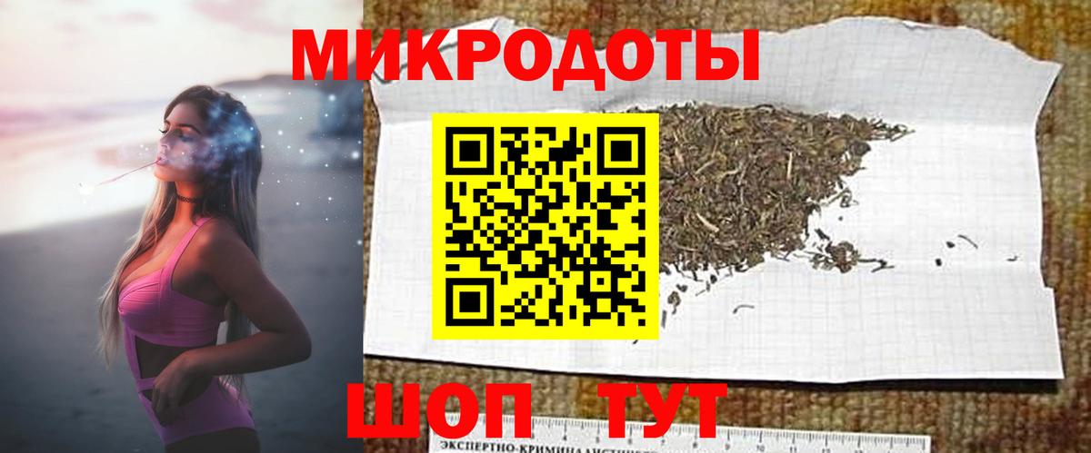 Галлюциногенные грибы Psilocybine cubensis Пушкино